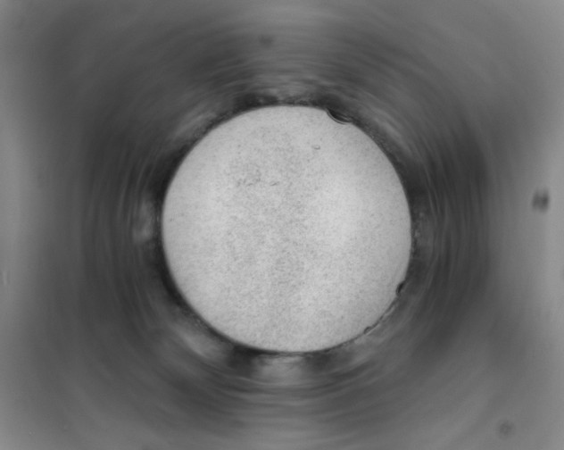 X0000101110132200807241144