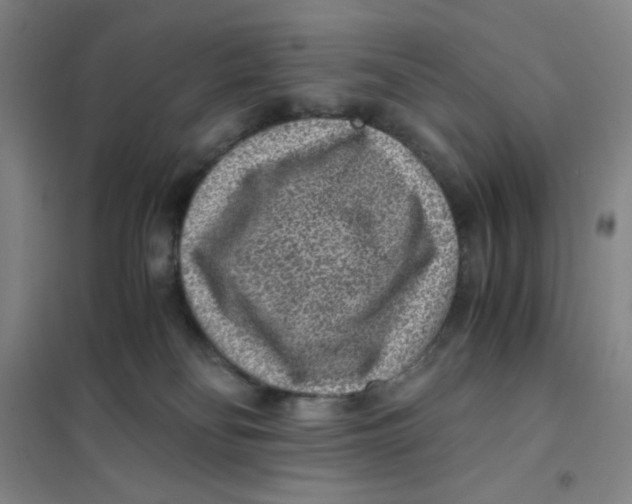 X0000101110134200807241144