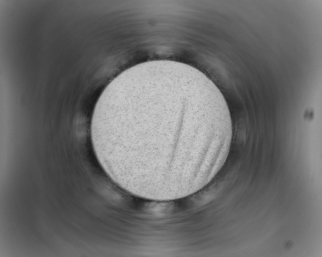 X0000101110135200807241144