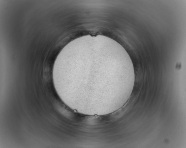 X0000101110136200807241144