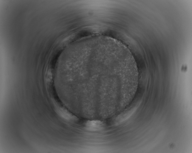 X0000101110137200807241144