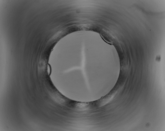 X0000101110139200807241144