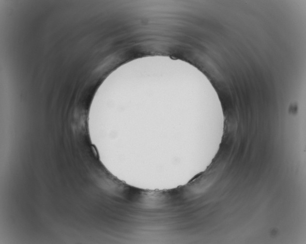 X0000101110141200807241144