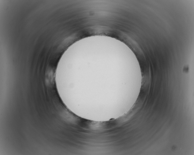 X0000101110142200807241144