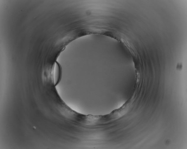 X0000101110143200807241144