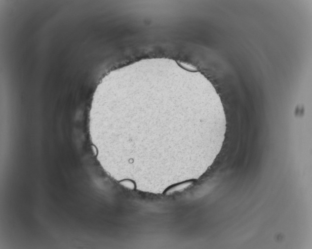 X0000101110144200807241144