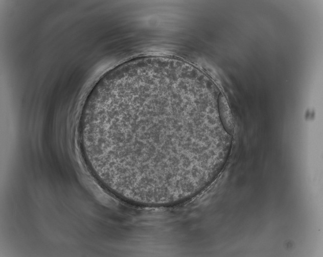 X0000101110145200807241143
