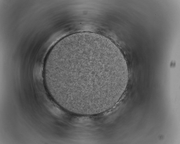 X0000101110146200807241143