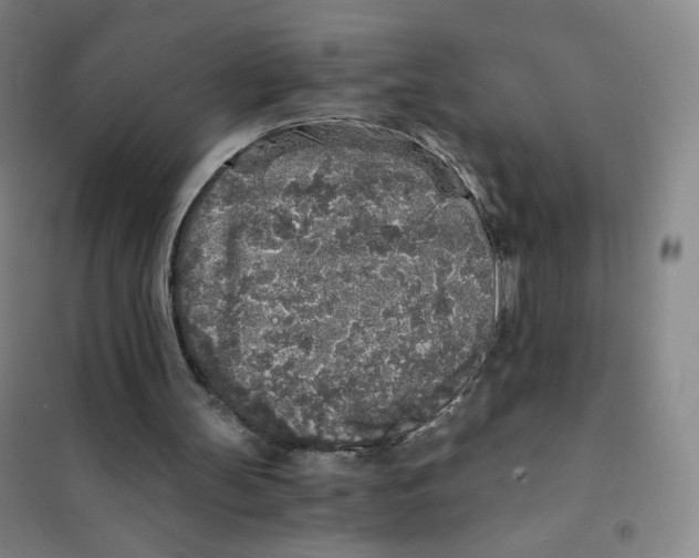 X0000101110147200807241143
