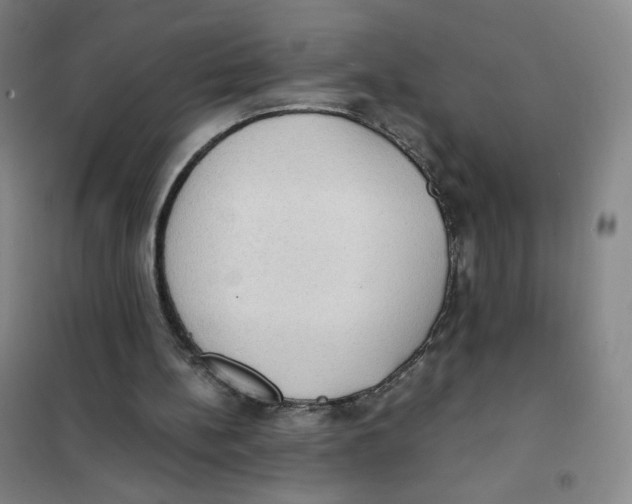 X0000101110148200807241143