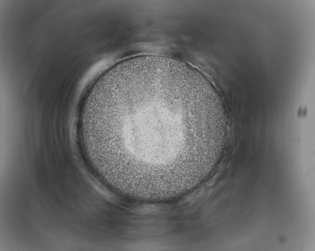 X0000101110149200807241143