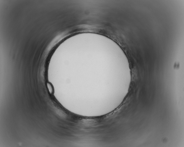 X0000101110150200807241144