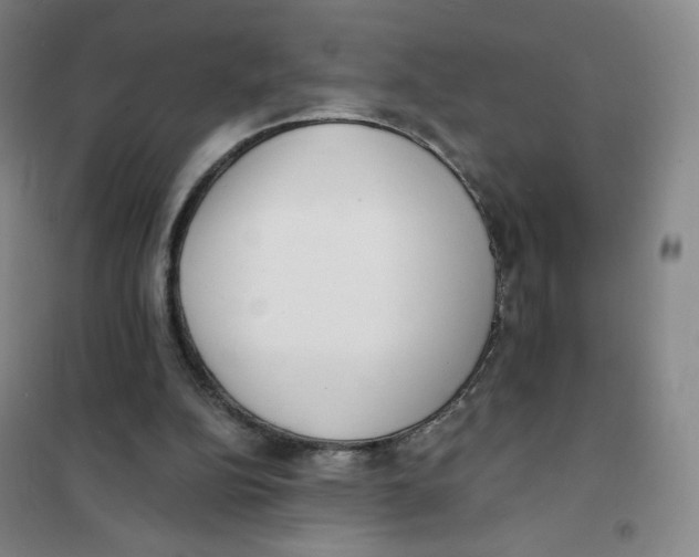 X0000101110152200807241144