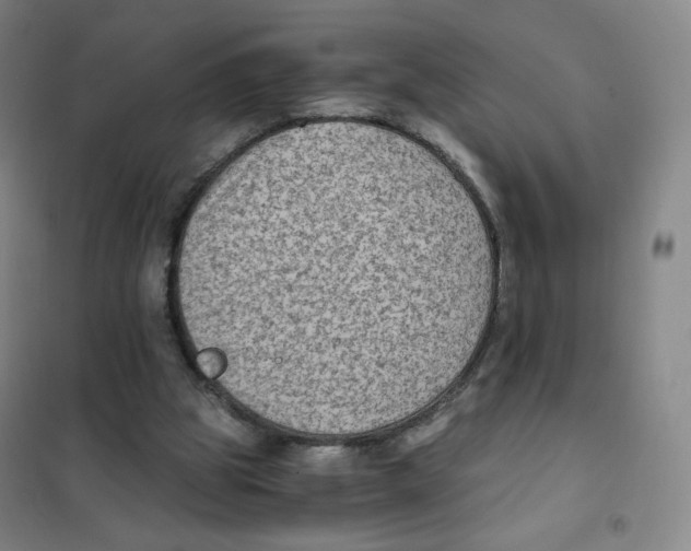 X0000101110153200807241144
