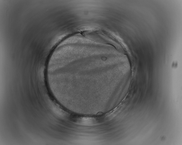 X0000101110154200807241144