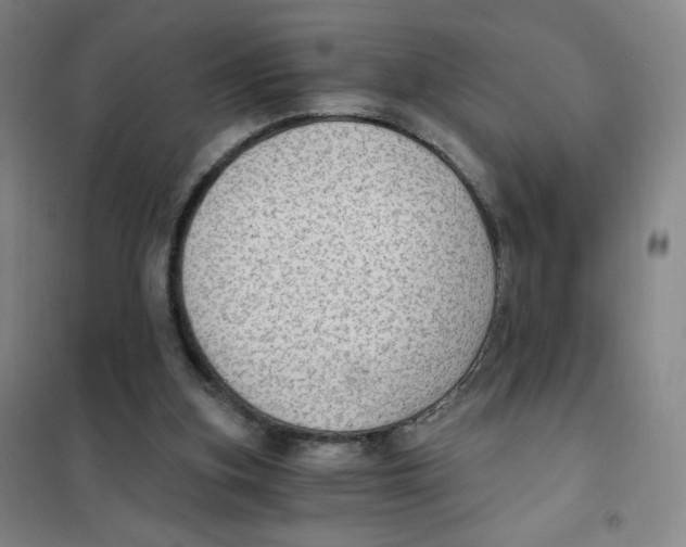 X0000101110155200807241144