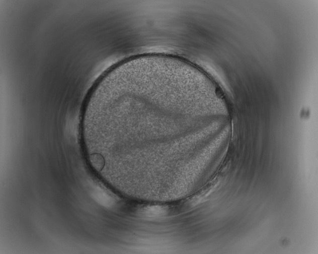 X0000101110156200807241144