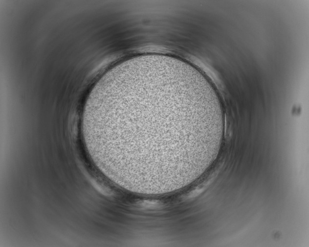 X0000101110157200807241144