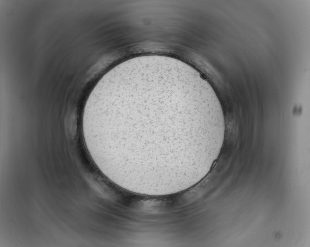 X0000101110158200807241144