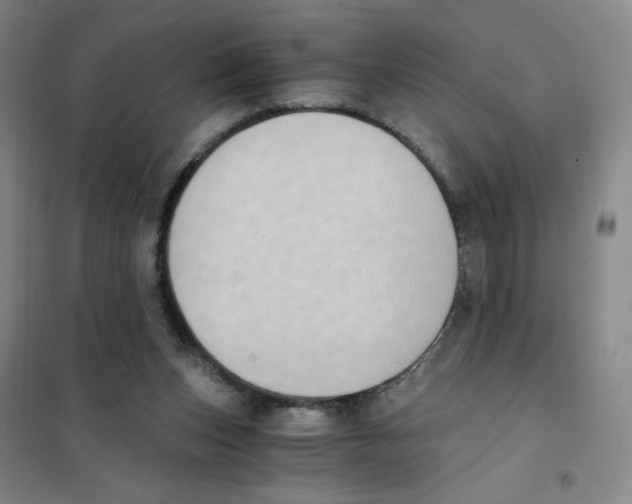 X0000101110159200807241144