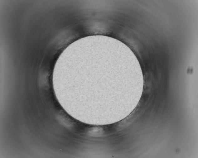 X0000101110162200807241144