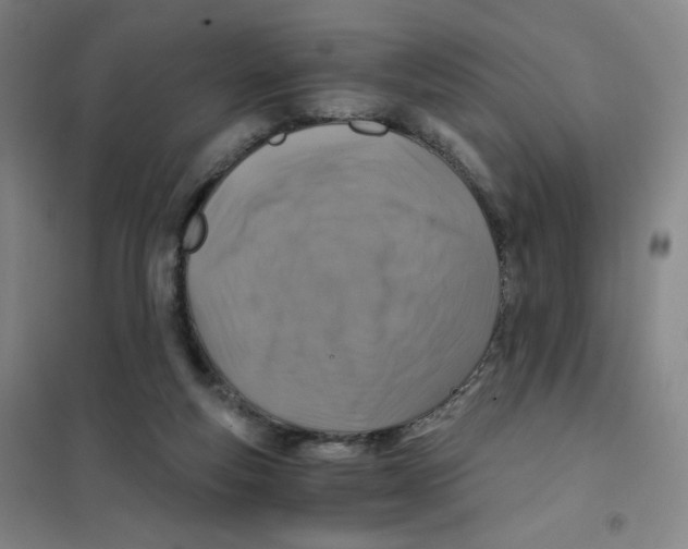 X0000101110163200807241144