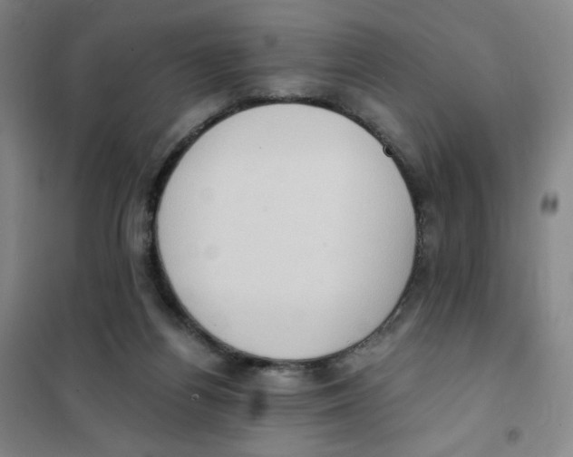 X0000101110164200807241144