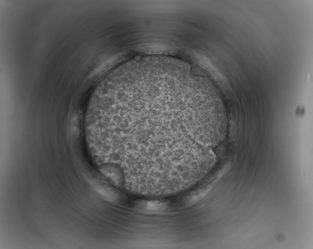 X0000101110165200807241144