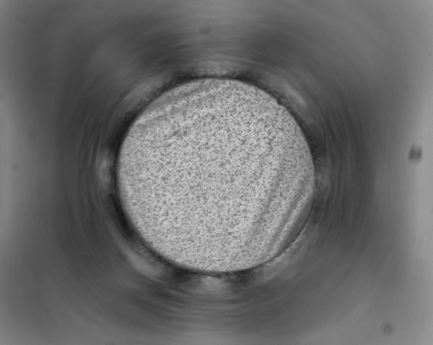 X0000101110166200807241144