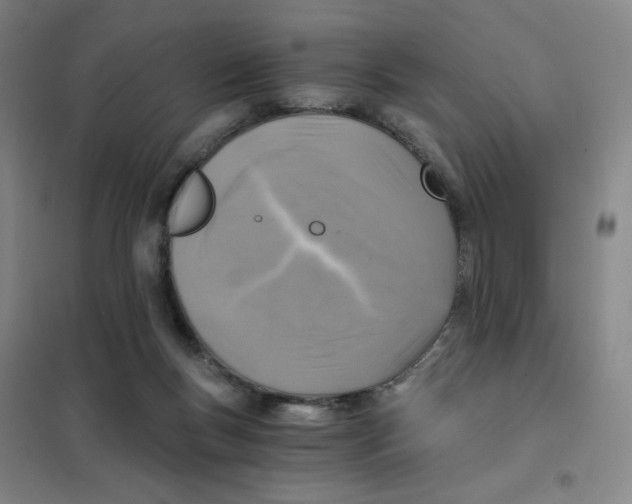 X0000101110167200807241144