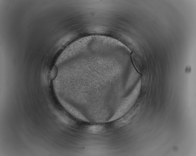 X0000101110168200807241144