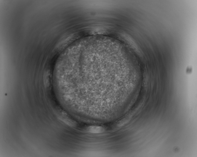 X0000101110169200807241144