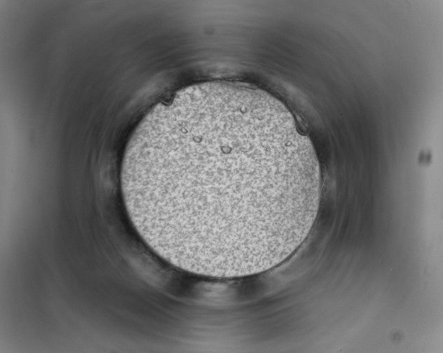 X0000101110170200807241144