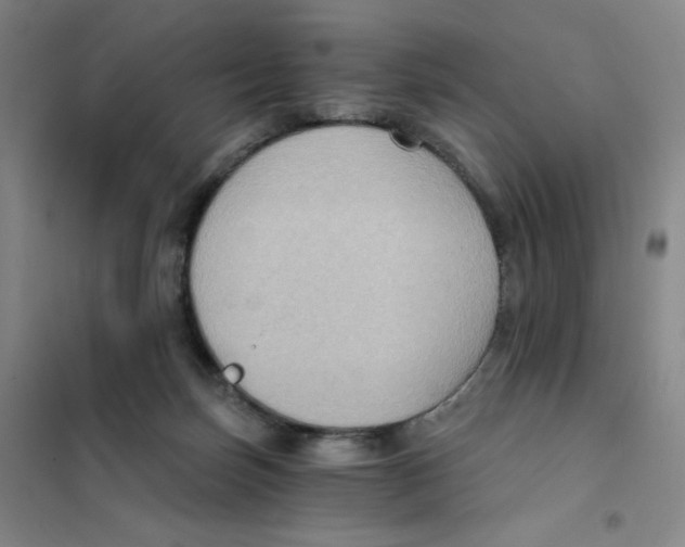 X0000101110171200807241144