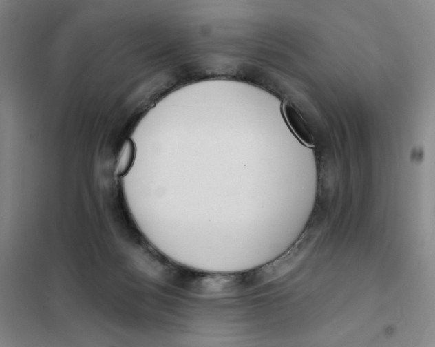 X0000101110172200807241144