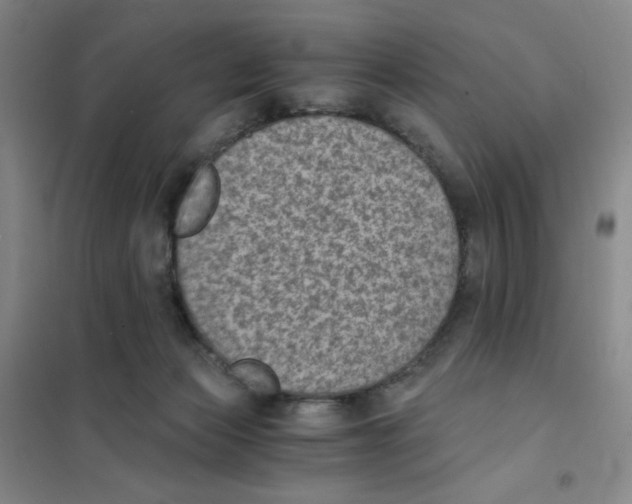 X0000101110173200807241144