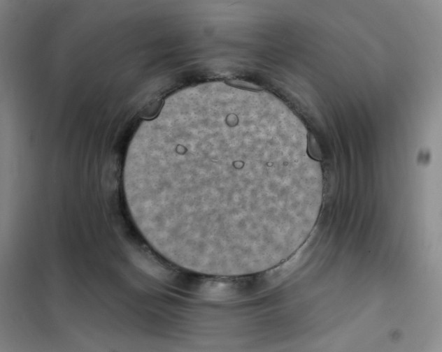 X0000101110174200807241144