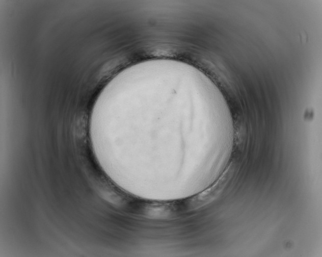 X0000101110175200807241144