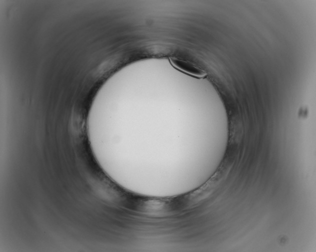 X0000101110176200807241144