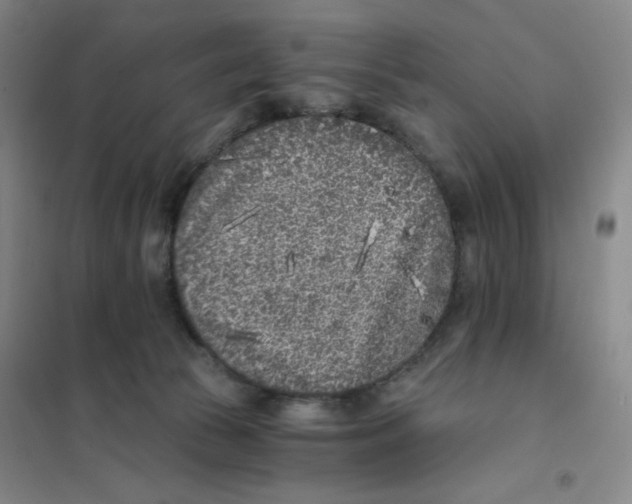 X0000101110177200807241144