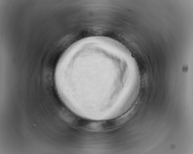 X0000101110178200807241144
