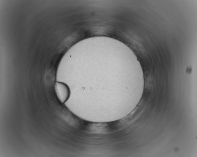 X0000101110179200807241144