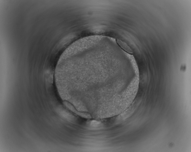 X0000101110180200807241144