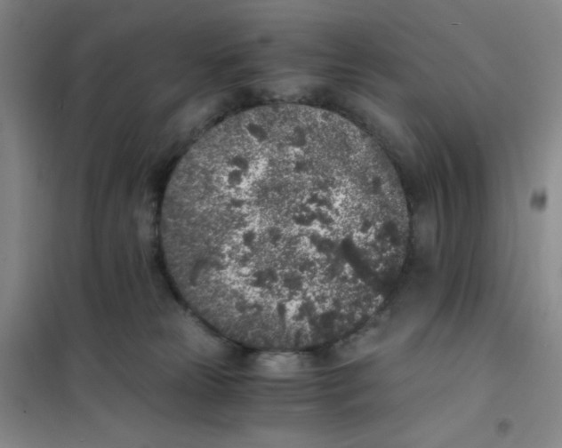 X0000101110181200807241144