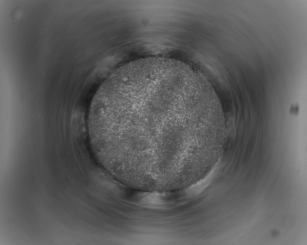 X0000101110182200807241144