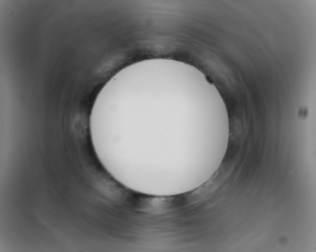 X0000101110184200807241144