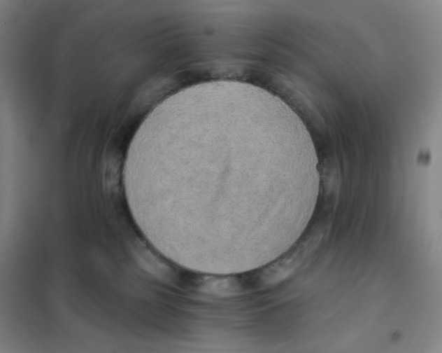 X0000101110185200807241144