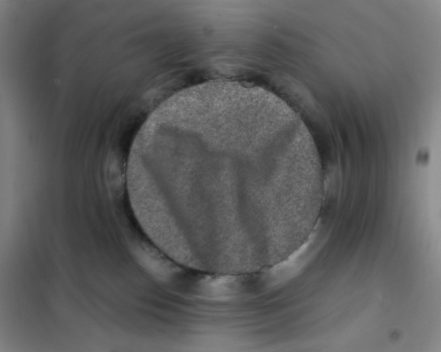 X0000101110186200807241144