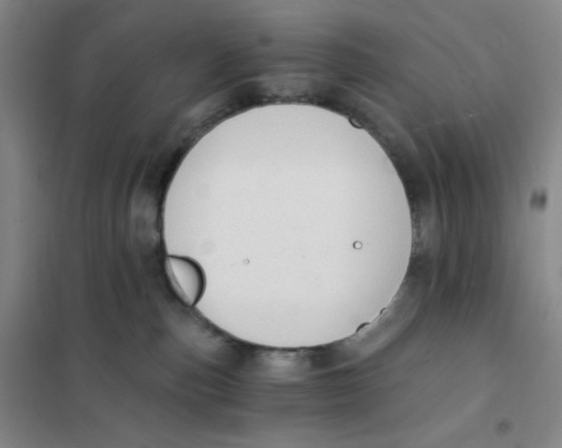 X0000101110187200807241144