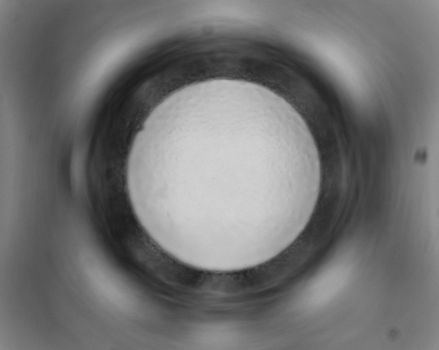 X0000101110189200807241144